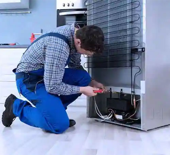 Fridge Services